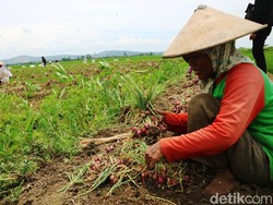 Telkom Buka Pembiayaan Usaha Hingga Rp 50 Miliar Per Bulan, Mau?