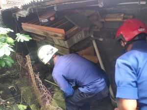 Hiii...! Induk Kobra dan 3 Anaknya Bersarang di Rumah Warga di Jaktim