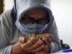 Cup of Excellency: Pintu Ekspor Kopi dari Tanah Priangan