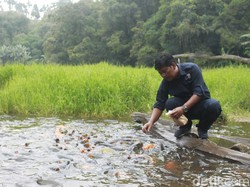 Sejarah dan Mitos Telaga Ranjeng Brebes yang Dipenuhi Ribuan Ikan Jinak