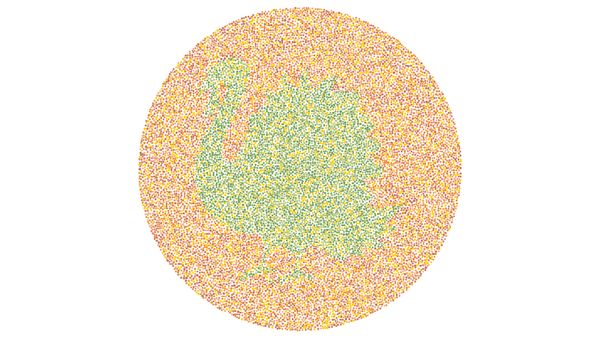 Bisa Lihat Gambar Hewan Ini? Kalau Kelihatan Tandanya Mata Kamu Normal