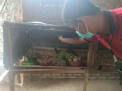 Dua Warga Blitar Tewas Tersetrum dalam Sehari