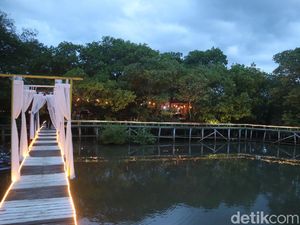 Ini Spot Mangrove di Jepara, Sunsetnya Tiada Dua Ini Spot Mangrove di Jepara, Sunsetnya Tiada Dua