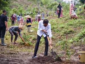 Tanam Pohon, Jokowi Hijaukan Mandalika