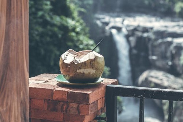 Segar alami, minuman es kelapa enak dikonsumsi sekalipun tanpa gula/Foto: pexels.com/Artem Beliaikin
