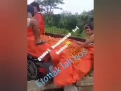 Viral Cabai Rawit Satu Pikap Dibuang ke Sungai Diduga di Bondowoso