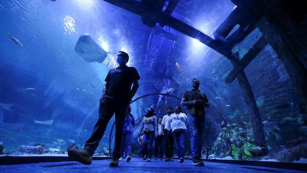 Visitors walk in the tunnel of the newly opened The National Aquarium Abu Dhabi, the largest aquarium in the Middle East and home to around 46,000 aquatic animals, in Abu Dhabi, United Arab Emirates, November 11, 2021. Picture taken November 11, 2021. REUTERS/Satish Kumar