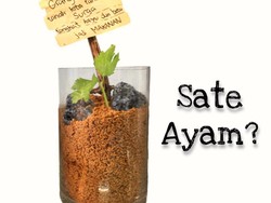 Antimainstream! Wanita Ini Jual Sate Ayam Unik Bentuk Tanaman