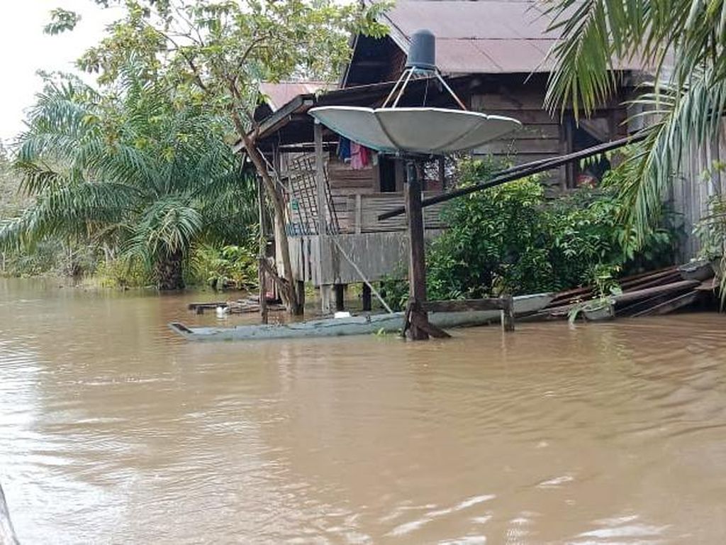 Sudah 5 Hari, 8 Kecamatan di Kotim Kalteng Masih Banjir!