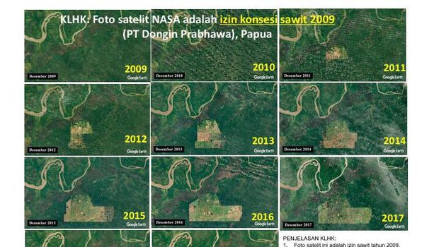 Foto Satelit Hutan Papua (2009-2019) dari KLHK.