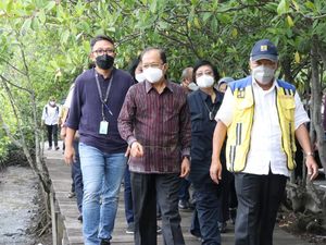 Ikuti Arahan Jokowi, Koster Tata Hutan Mangrove di Bali untuk KTT G20