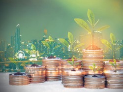 Mendorong Ekonomi Hijau Melalui Investasi ESG dan Pajak Karbon