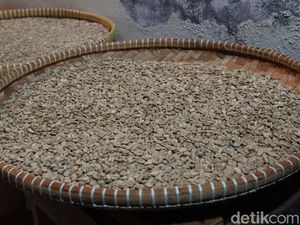 Susahnya Angkut Kopi Papua: Sewa Pesawat Rp 40 Jutaan, Cuaca, dan KKB