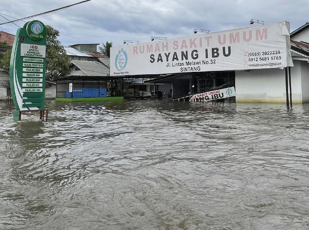 Jokowi Sebut Banjir Sintang Akibat Kerusakan Daerah Tangkapan Hujan