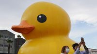 Kwek.. kwek.. Si Bebek Karet Terapung di Osaka