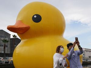 Kwek.. kwek.. Si Bebek Karet Terapung di Osaka