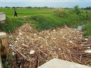 Penampakan Tumpukan Sampah Menggunung di Sungai Jaranan Kudus