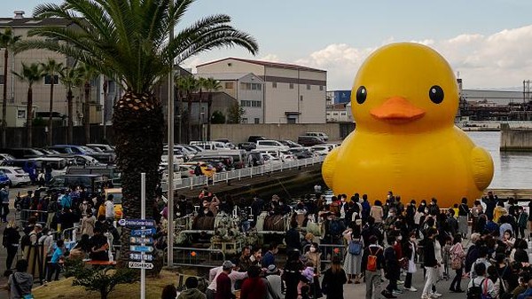 Tak sedikit warga yang datang ke kawasan Creative Center Osaka untuk melihat langsung bebek karet berukuran raksasa tersebut. Tak sedikit warga yang datang ke kawasan Creative Center Osaka untuk melihat langsung bebek karet berukuran raksasa tersebut.