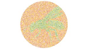 Enggak Bisa Tebak Siluet Hewan Ini? Tandanya Harus Cek ke Dokter Mata