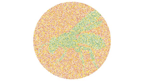 Enggak Bisa Tebak Siluet Hewan Ini? Tandanya Harus Cek ke Dokter Mata