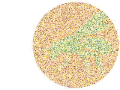 Enggak Bisa Tebak Siluet Hewan Ini? Tandanya Harus Cek ke Dokter Mata