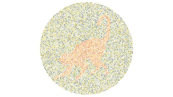 Nggak Bisa Tebak Gambar Hewan Ini? Bisa Jadi Kamu Buta Warna