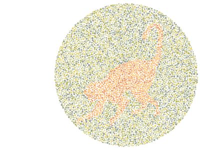 Nggak Bisa Tebak Gambar Hewan Ini? Bisa Jadi Kamu Buta Warna