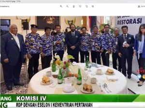 Legislator PAN Minta KASN Usut ASN Foto Berseragam Kostranas NasDem Legislator PAN Minta KASN Usut ASN Foto Berseragam Kostranas NasDem
