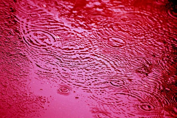 Fenomena hujan darah di India/Foto: Dreamstime.com