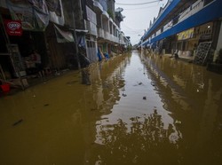 PKS Minta Jokowi Tindak Perusahaan Ilegal Penyebab Banjir di Kalimantan
