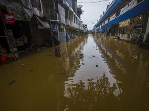 PKS Minta Jokowi Tindak Perusahaan Ilegal Penyebab Banjir di Kalimantan PKS Minta Jokowi Tindak Perusahaan Ilegal Penyebab Banjir di Kalimantan