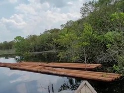 Komplotan Anak Jenderal Tertangkap Basah Hanyutkan Kayu Ilegal di Sungai