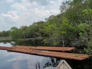 Aksi Mafia Kayu Anak Jenderal di Riau Berakhir di Balik Jeruji Aksi Mafia Kayu Anak Jenderal di Riau Berakhir di Balik Jeruji
