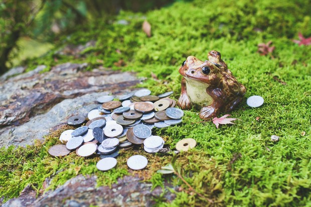 Kodok dengan koin./Foto: unsplash.com/Sean Chen