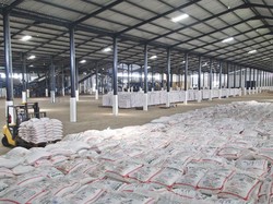 Pabrik Pupuk Mulai Tambah Kapasitas Produksi, Ini Alasannya