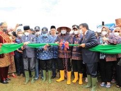 Pemprov Sumsel Akan Luncurkan Program Mandiri Pangan