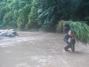 Melihat Perjuangan Warga Polman Terobos Sungai Berarus Deras