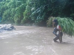 Melihat Perjuangan Warga Polman Terobos Sungai Berarus Deras