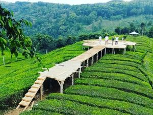 PPKM Level 3, Tiga Lokasi Wisata di Kabupaten Blitar Direkomendasikan Buka PPKM Level 3, Tiga Lokasi Wisata di Kabupaten Blitar Direkomendasikan Buka