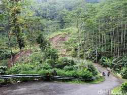 Tinitah Alam Kulon Progo, Tempat Healing Suasana Sejuk Dekat Bukit Menoreh