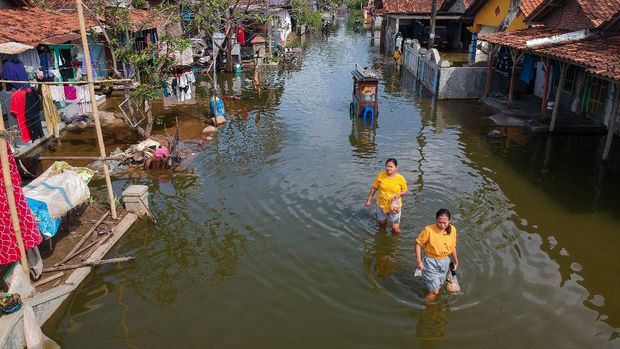 Warga melintasi rob di Degayu, Pekalongan, Jawa Tengah, Selasa (16/11/2021). Sebanyak 570 rumah warga di Kelurahan Degayu terdampak banjir rob dengan ketinggian antara 30-50 cm. ANTARA FOTO/Harviyan Perdana Putra/rwa.