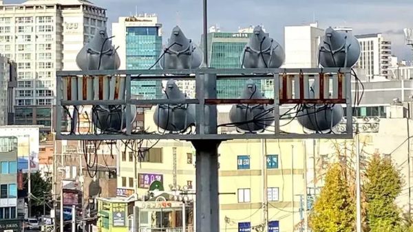 Awas Foto Ini Menjebak, Bisa Tertipu Bila Lihat Sekilas