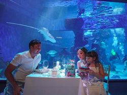 Berhasil! Wijaya Saputra Bikin Pesta Kejutan untuk Ultah Gisel