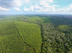 4 Hotspot Terpantau di Sumatera Jelang Puncak Kemarau Juli-Agustus
