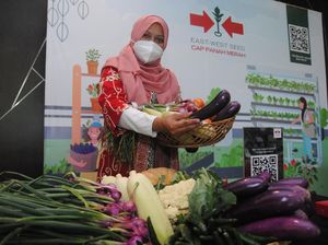 Pemuliaan Tanaman Dapat Dilakukan Dengan Cara Apa?