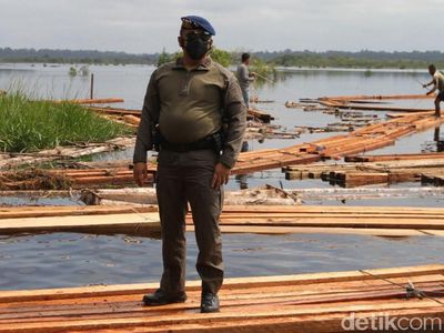 Potret Hutan Cagar Biosfer Riau yang Dijarah Komplotan Anak Jenderal