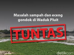 detikcom Do Your Magic: Before-After Pembersihan Waduk Pluit