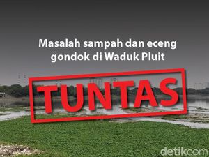 detikcom Do Your Magic: Before-After Pembersihan Waduk Pluit detikcom Do Your Magic: Before-After Pembersihan Waduk Pluit