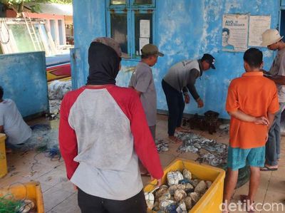 Melihat Nelayan Gunungkidul Panen Gurita