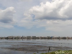 detikcom Do Your Magic: Waduk Pluit Mulai Bersih dari Eceng Gondok-Sampah